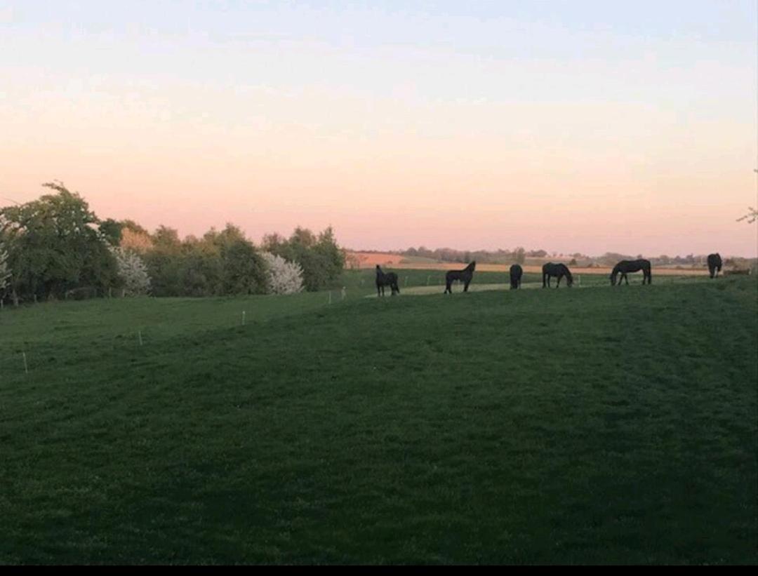 Vakantiewoning In Monumentale Boerderij Met Yurt Eckelrade Exteriér fotografie